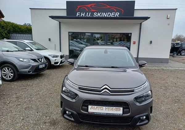 citroen c4 cactus Citroen C4 Cactus cena 49899 przebieg: 99000, rok produkcji 2019 z Koprzywnica